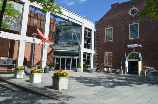 WHALING MUSEUM 1