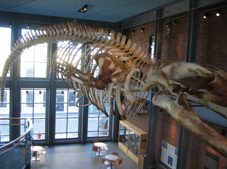 WHALING MUSEUM 2