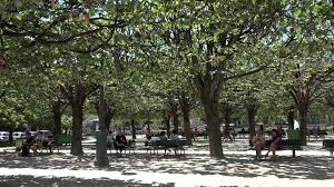 notre dam paris day 4